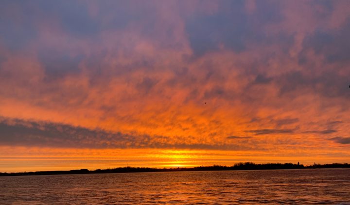 Imaginarium MOTE Ipswich